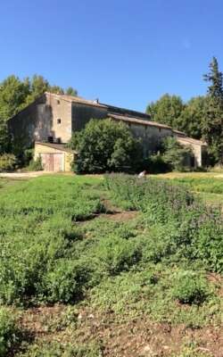 Les sentiers de l'abondance