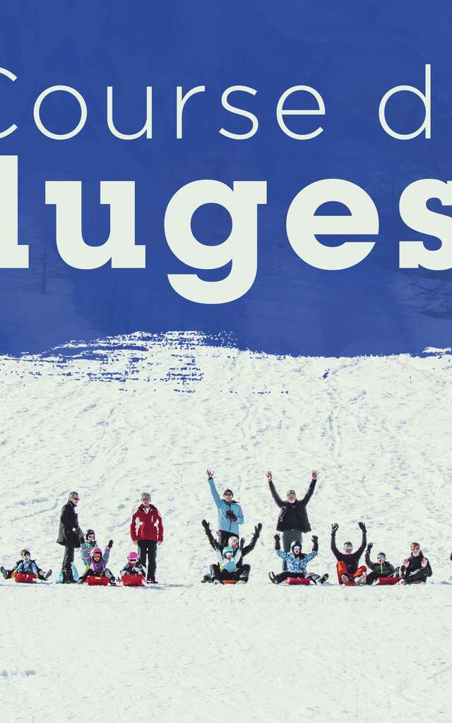 Course de luge