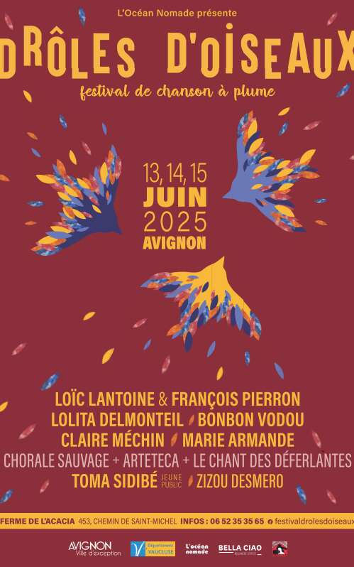 Festival Drôles d'oiseaux
