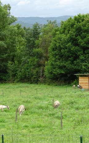 A la Ferme de Titou