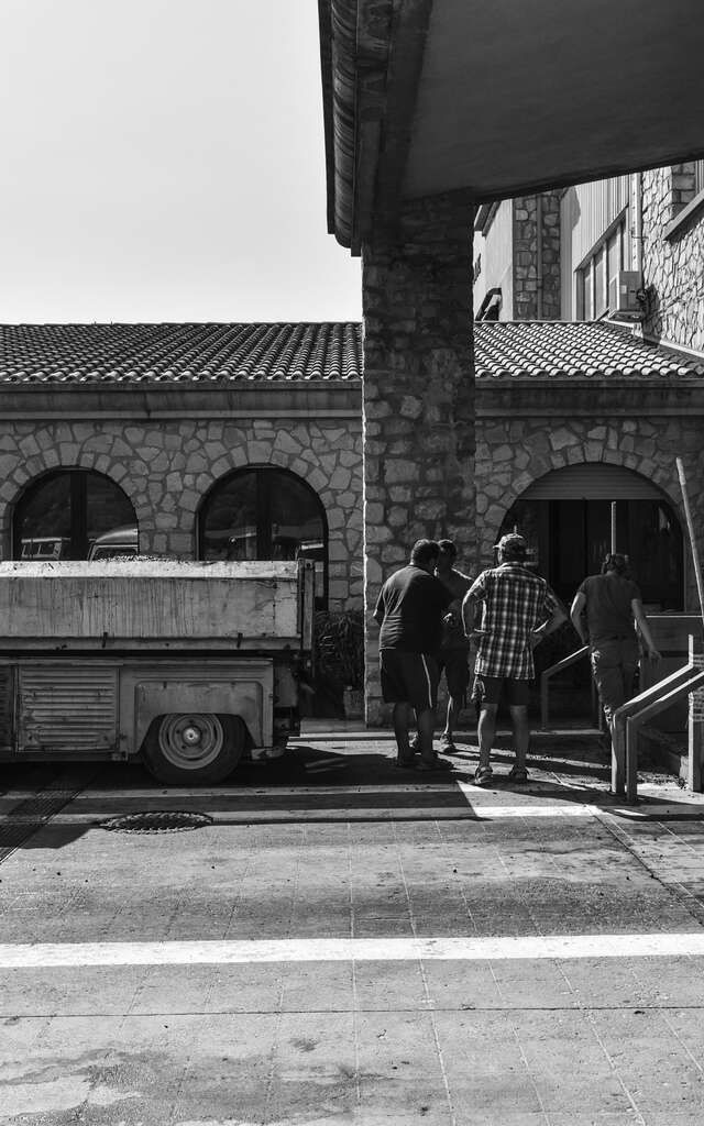 Les Vignerons de Villedieu Buisson