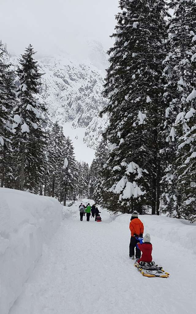 Les Gardiens du Mont Rouge
