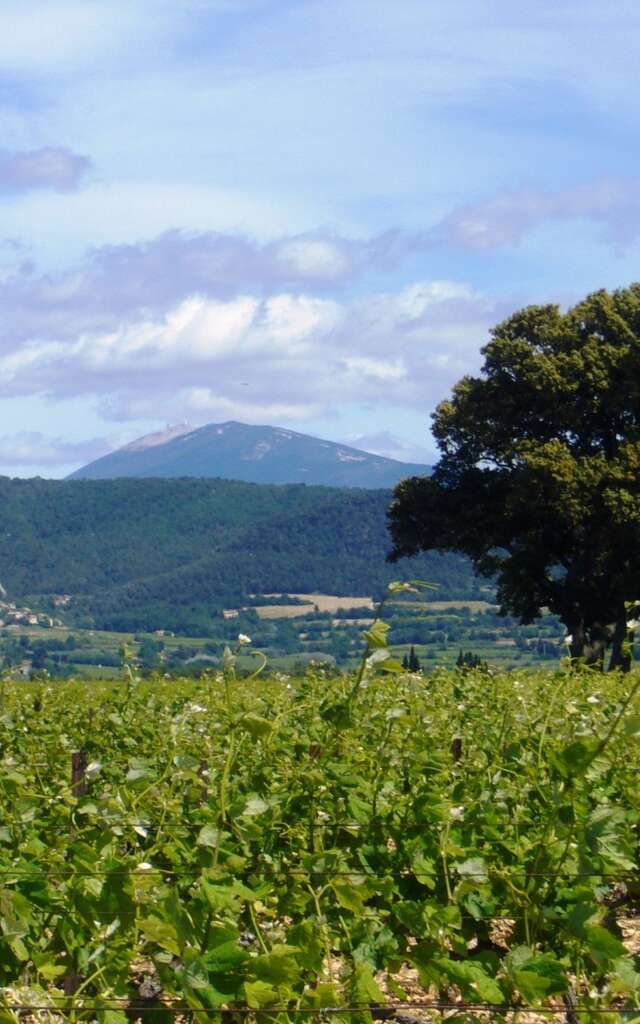 Domaine de la Girardière