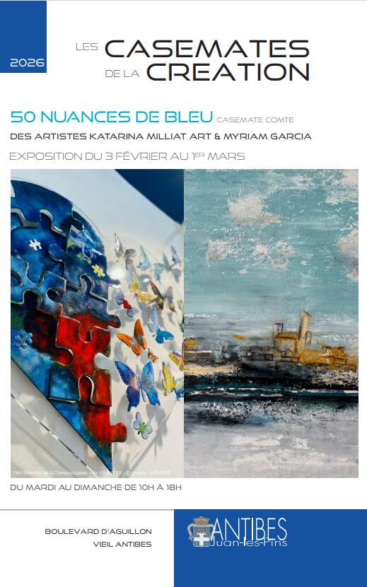 50 NUANCES DE BLEU