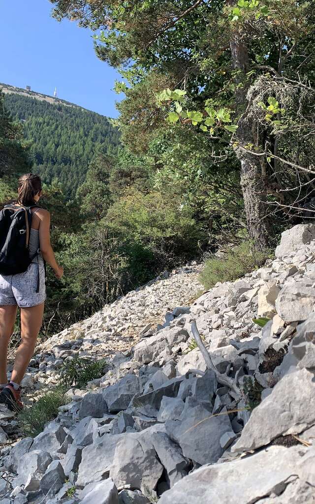 SAINT-LEGER-DU-VENTOUX - Ascension du Ventoux Face Nord