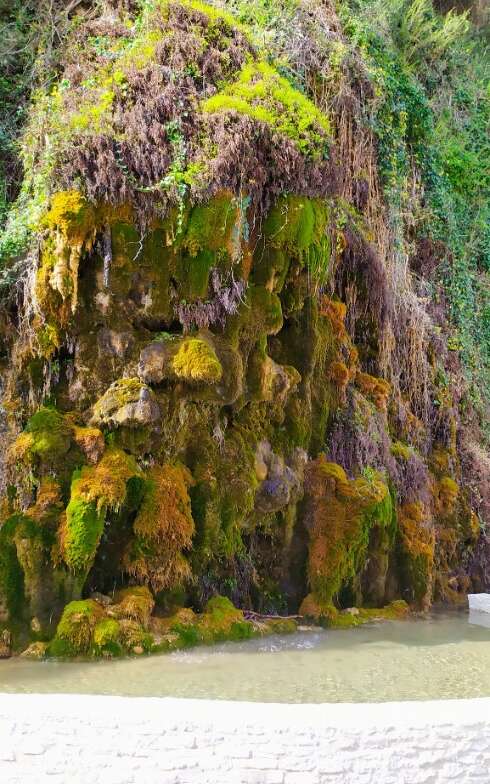Le Grand Tuf de Maliver