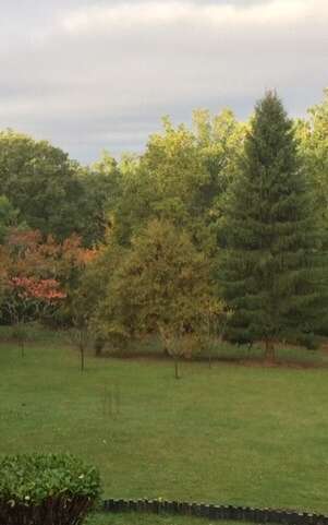 Chambres d'hôtes Les bois de Ravel