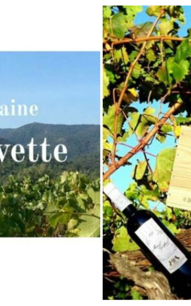 Domaine de Siouvette