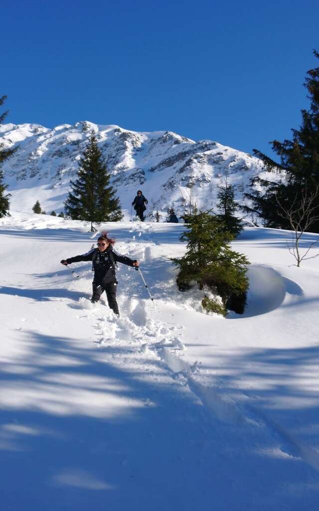 Randonnée en  Raquettes - Adaptation de la faune de montagne à l'hiver