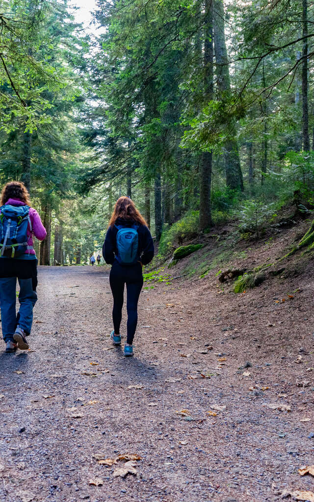 GR® de Pays Les Grenadières