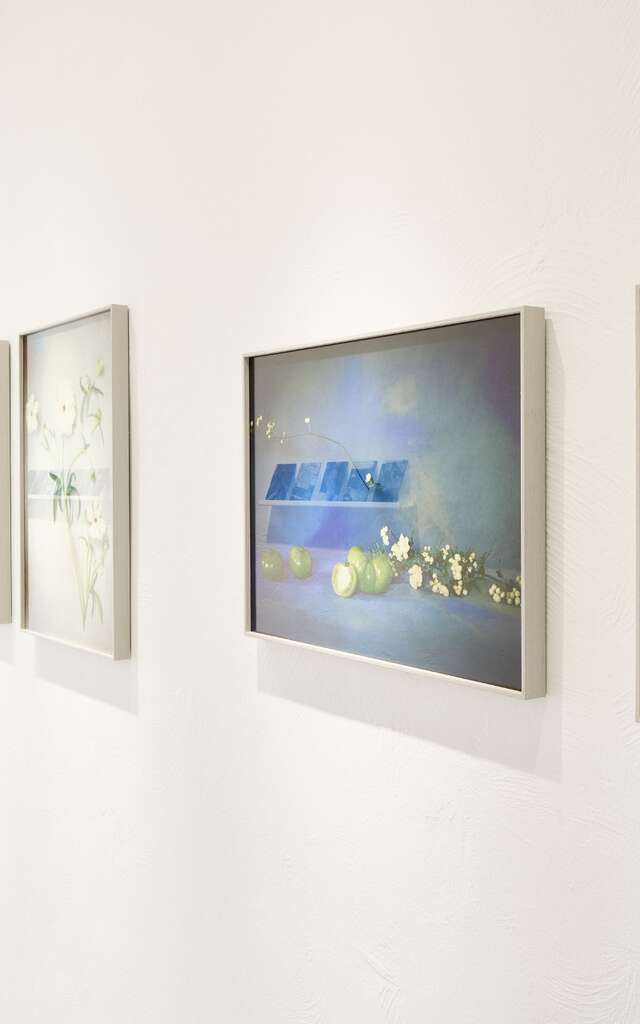 Exhibition "Mediums transfert: story from painting to photography"