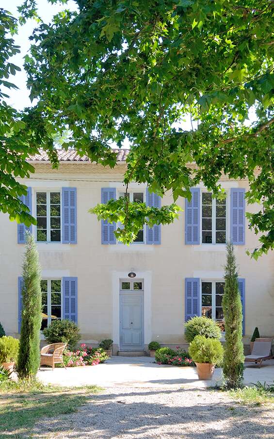 Le Chat dans la Bastide