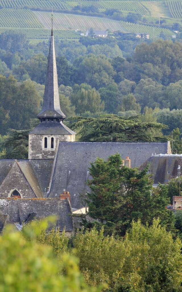 Château des Vaults Domaine du Closel