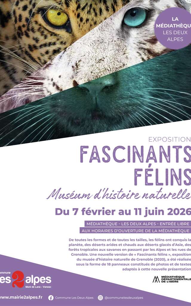 Exposition - Fascinants félins