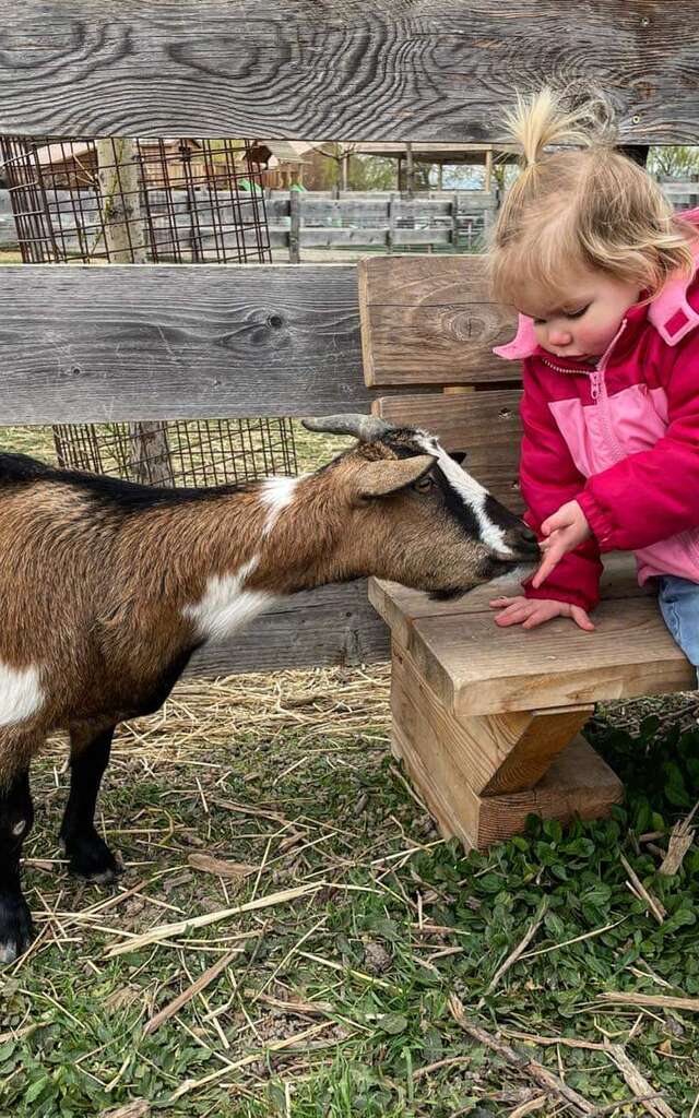 Farm: Au bonheur des animaux