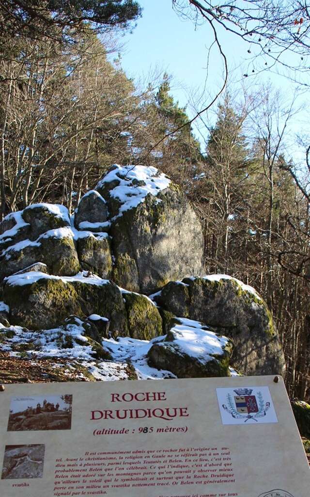 PR040 La Roche druidique de Crouzilhac