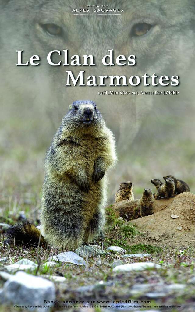 "Le clan des marmottes"