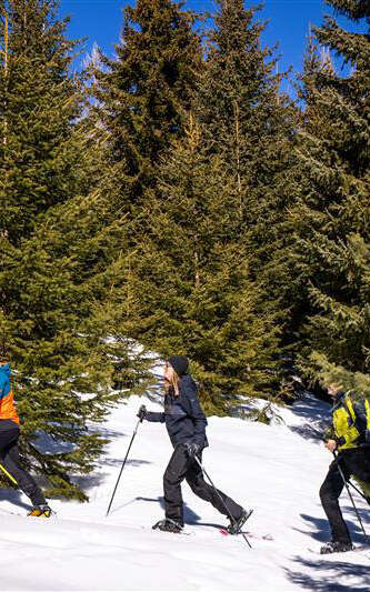 Détectives en raquettes