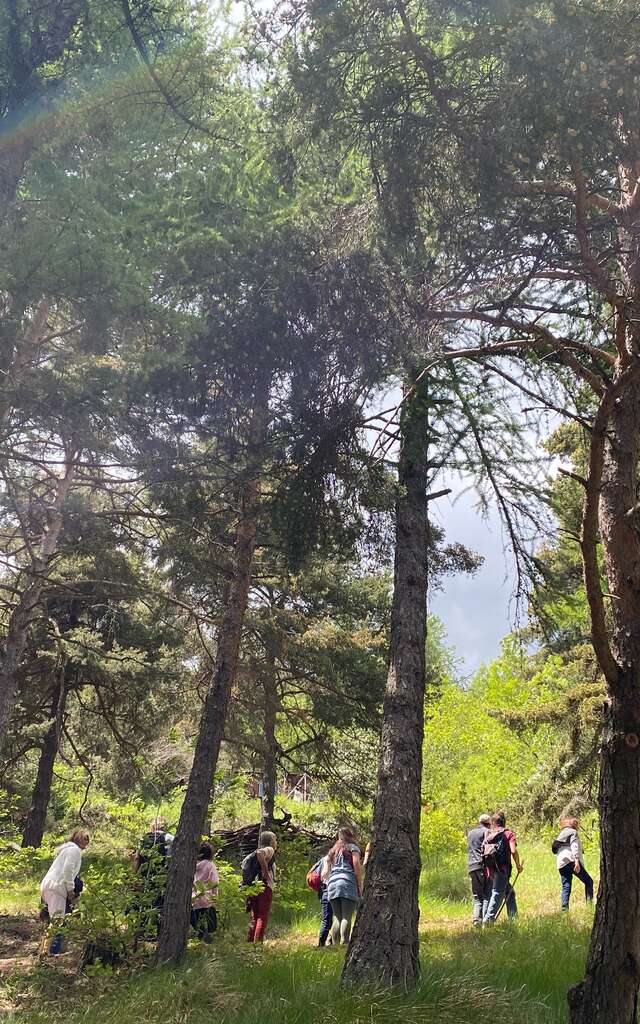 Arboretum Marcel Kroenlein