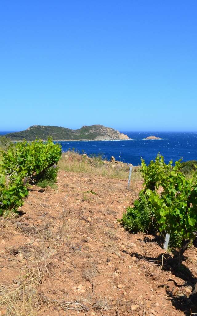 Domaine La Tourraque