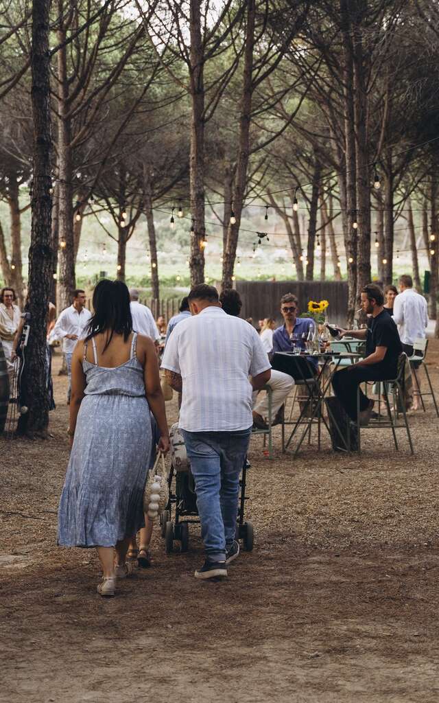 Sunset Market - Domaine Fondugues-Pradugues