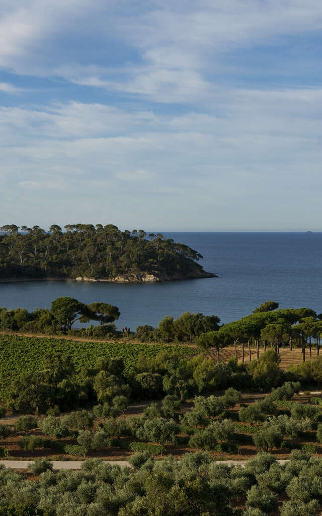 Château Léoube