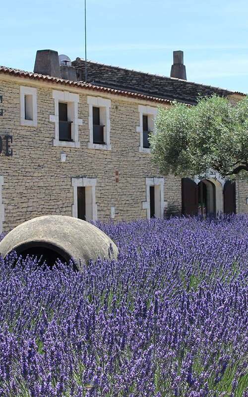 Musée de la Lavande Luberon