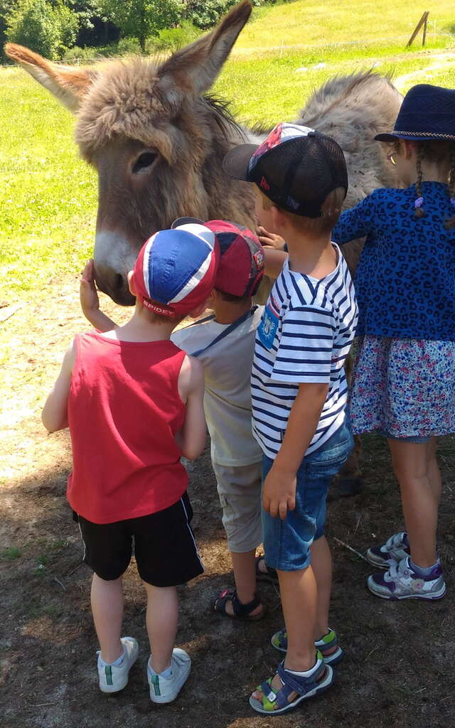 Visite de l'asinerie et de la  savonnerie