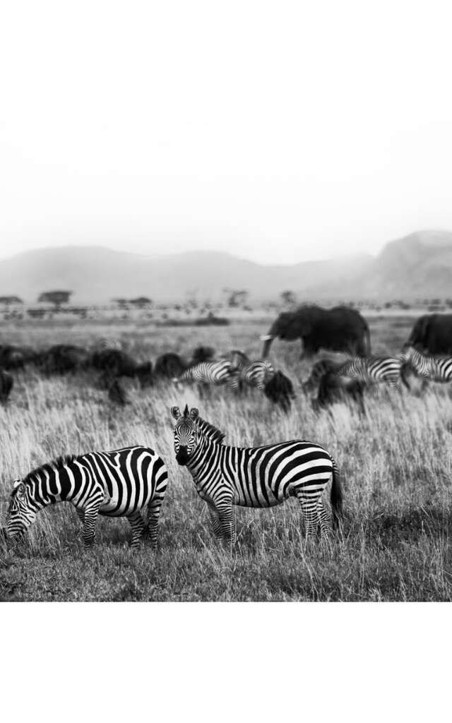 Villa Sainte Anne exhibits photographer Sarah Chambon