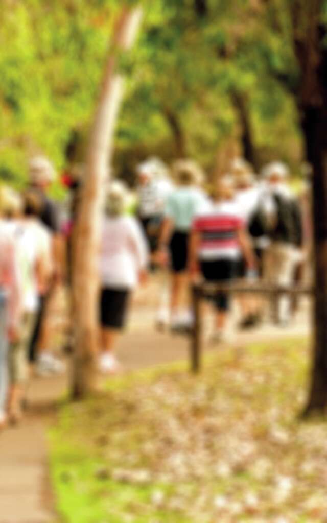 L’Art en mouvement