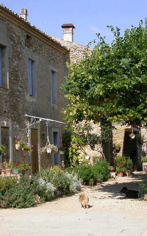 Le Jas des Grands Cèdres