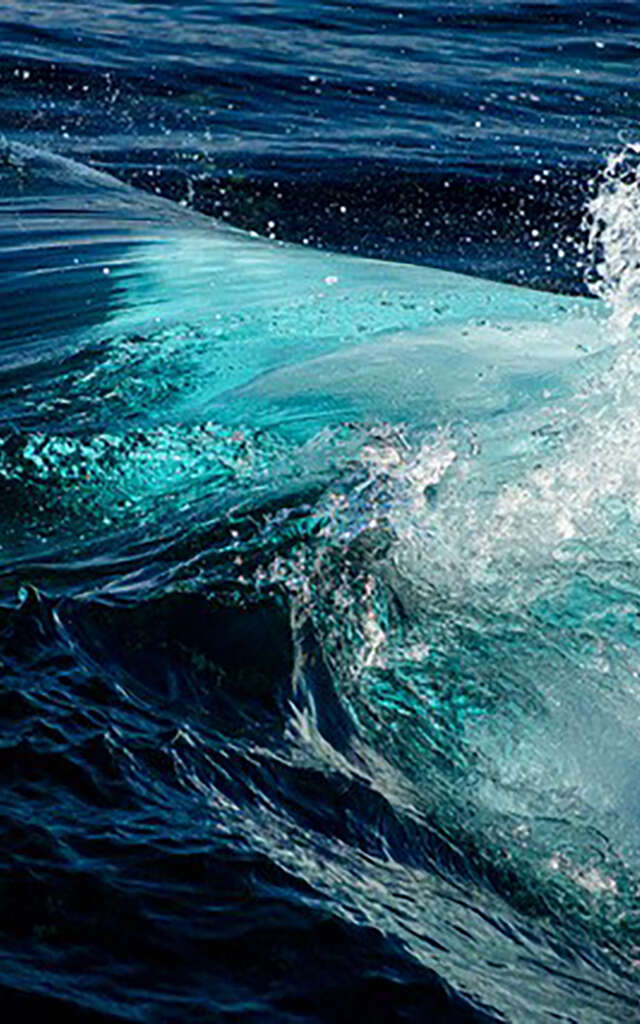 Exposition de Peinture : Regards croisés sur le Cap d'Antibes