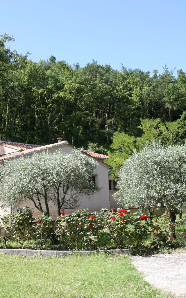 Les Verveines de Vaison