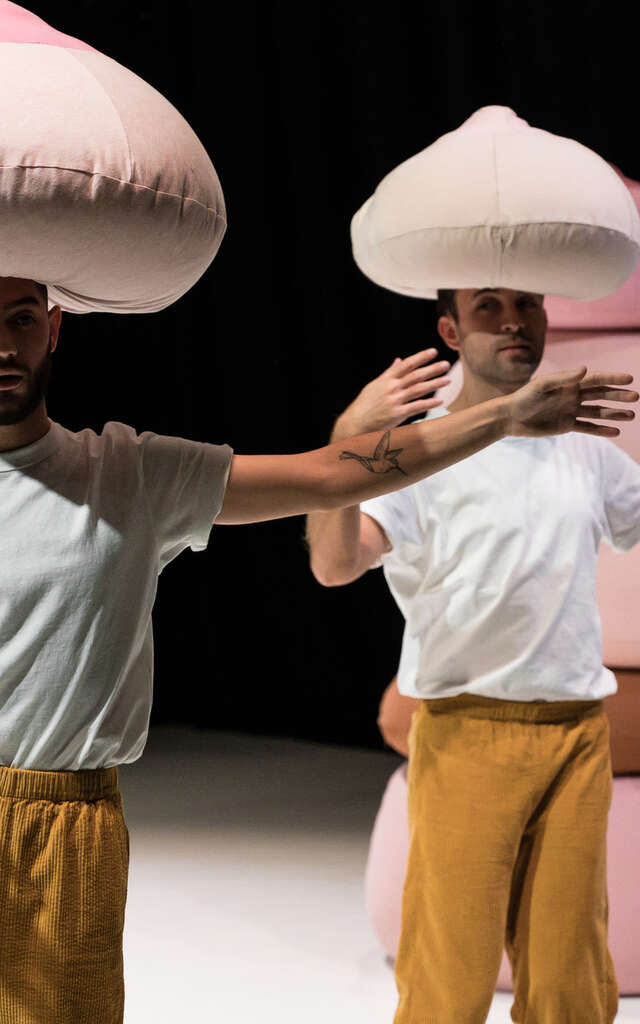 Marion Muzac MZ Production - "Le Petit B"