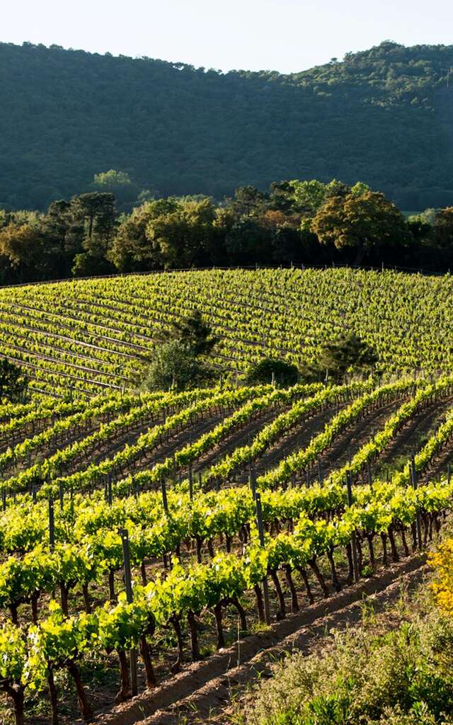 Domaine Val d'Astier