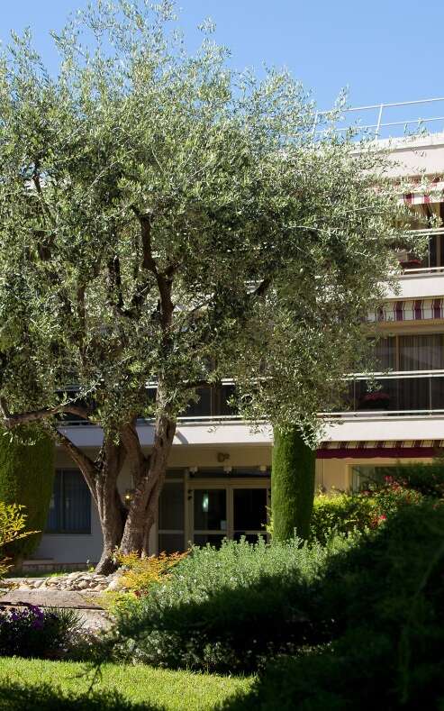 Hôtel Les Strélitzias