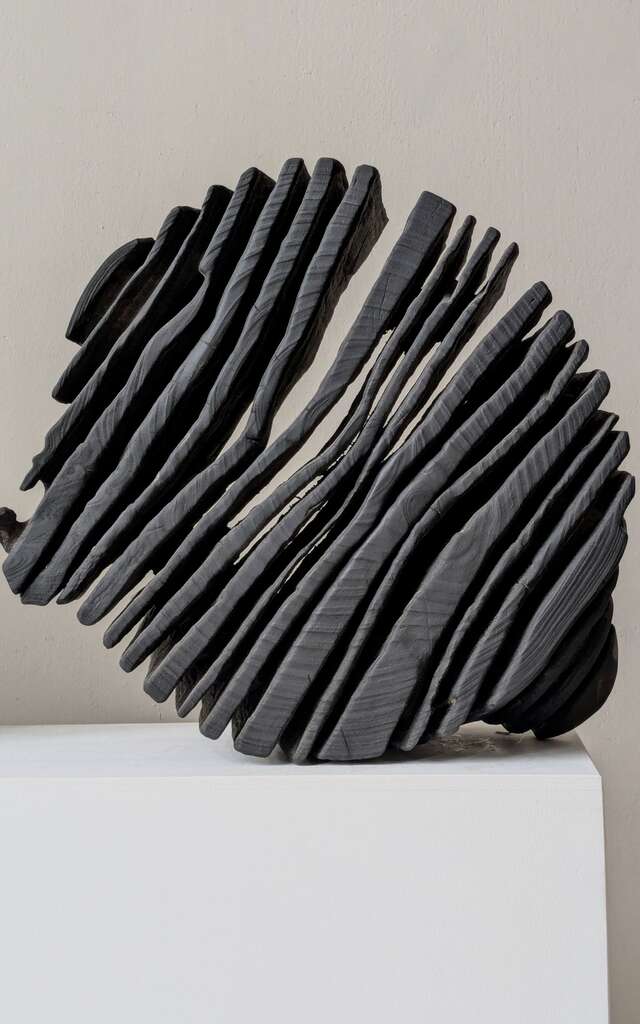 Exposition "Quand le flou rencontre la ligne"