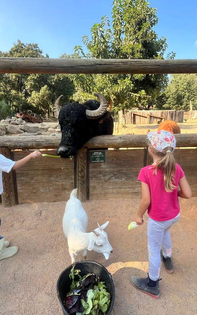 Kid's camp au Ranch de la Mène