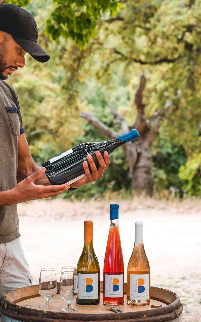 Vignobles en scène à Grimaud
