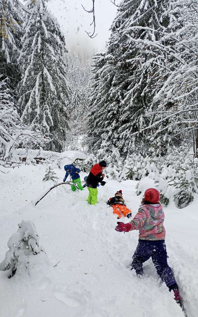 Journée petits trappeurs : club nature enfants