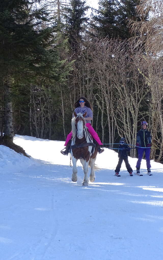 Initiation au ski-Joering au Collet