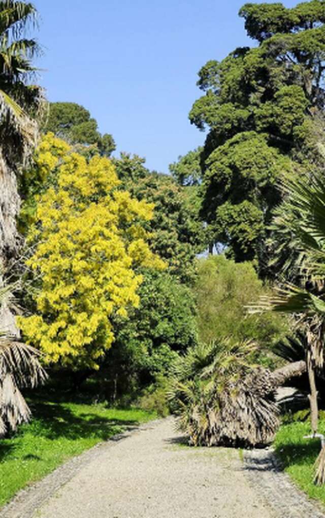 Jardin botanique Villa Thuret