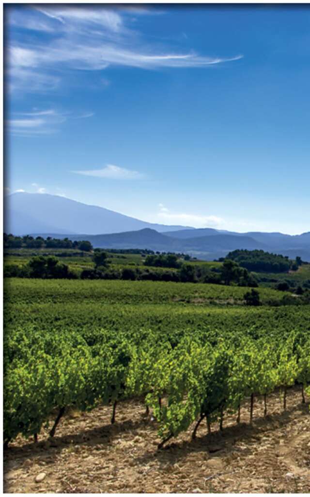 La randonnée de Rasteau par Terra Rando