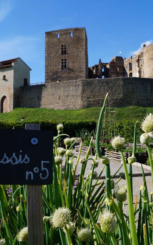 Château de Montrond-les-Bains