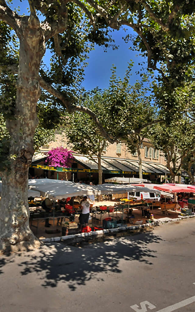 Fête des Vendanges et des Châtaignes