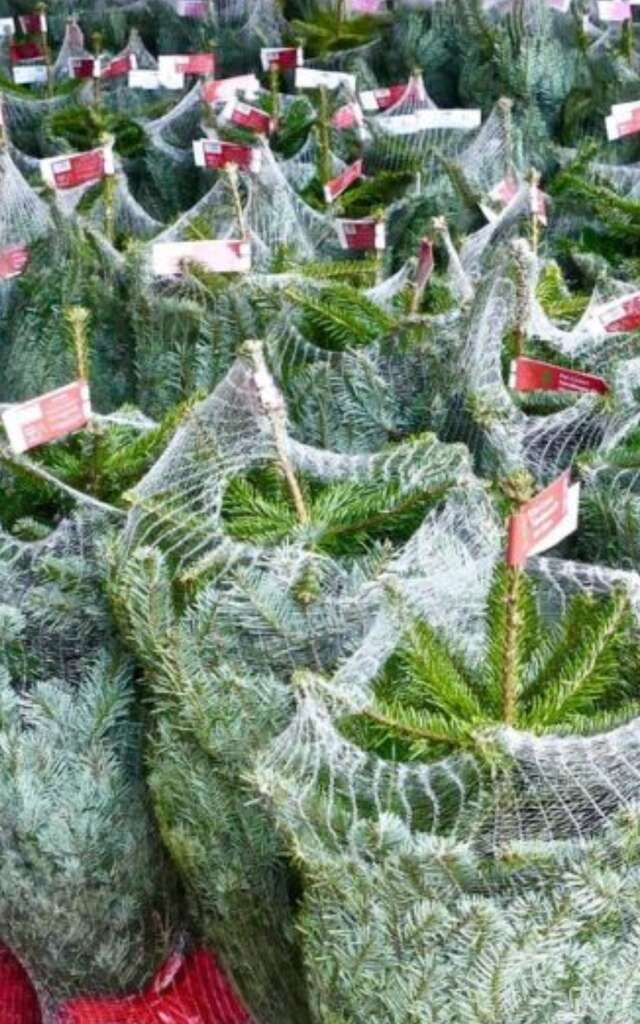 Marché des Sapins