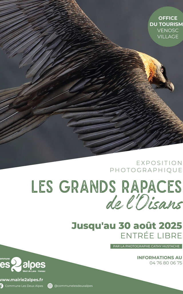 Photo exhibition - the great birds of prey of the Oisans