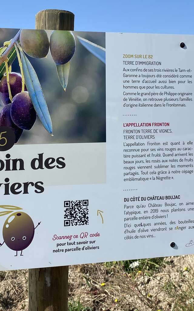 Les balades ludiques du Château Boujac