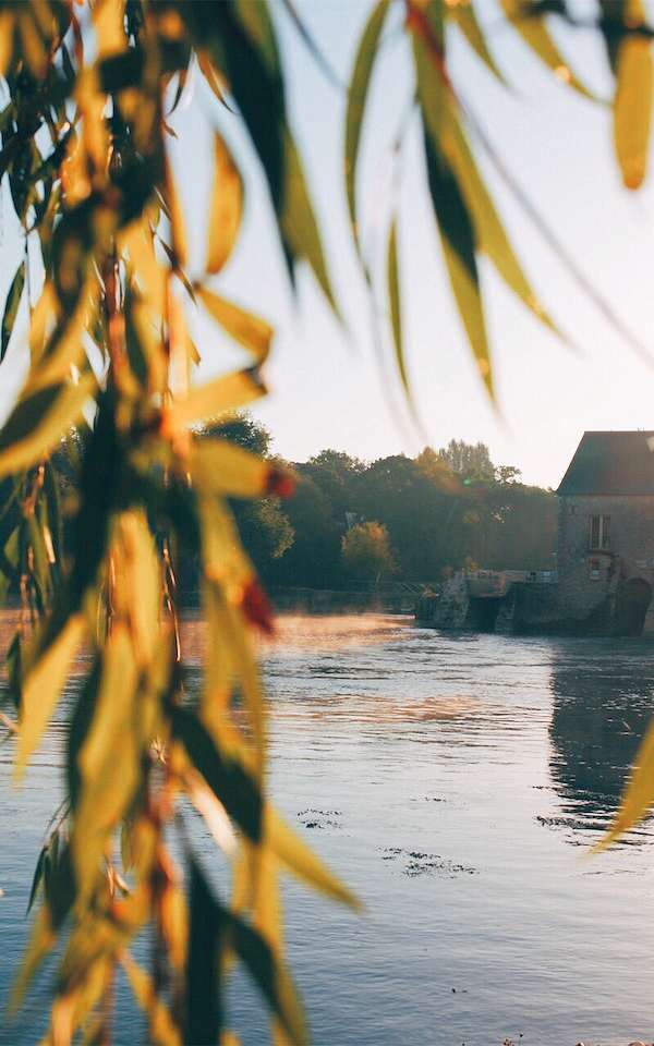 Visite guidée de l'Engrenage-Moulin de Villevêque