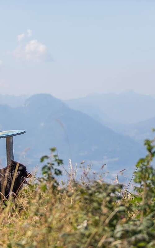 Belvédère de l'Orionde